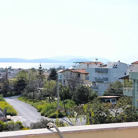 فيلة Elma